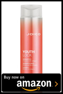 Joico Youth Lock Shampoo